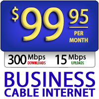 Business Cable 300