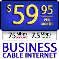Business Cable 75