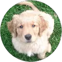 mika N. profile picture